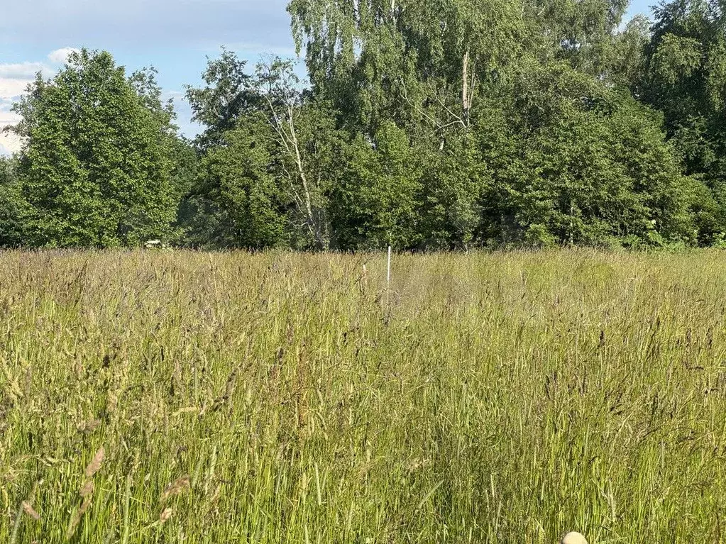 Участок 10 сот. (ИЖС) - Фото 1