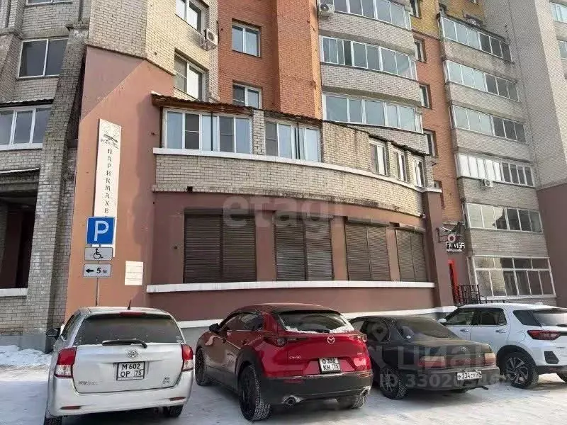 Помещение свободного назначения в Забайкальский край, Чита ул. Шилова, ... - Фото 1