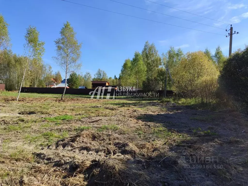 Участок в Московская область, Рузский городской округ, пос. Дорохово ... - Фото 1