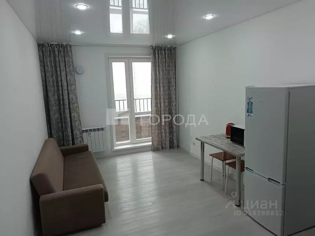 Студия Новосибирская область, Новосибирск ул. Забалуева, 69 (24.0 м) - Фото 0