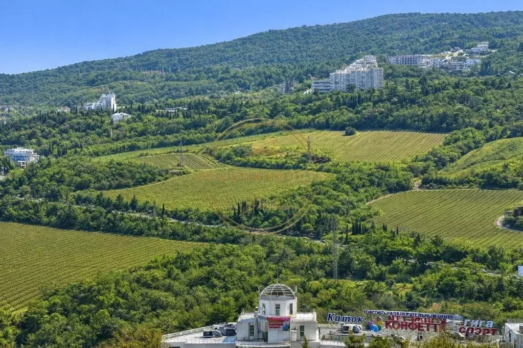 Участок в Крым, Ялта ул. Большевистская (14.0 сот.) - Фото 1