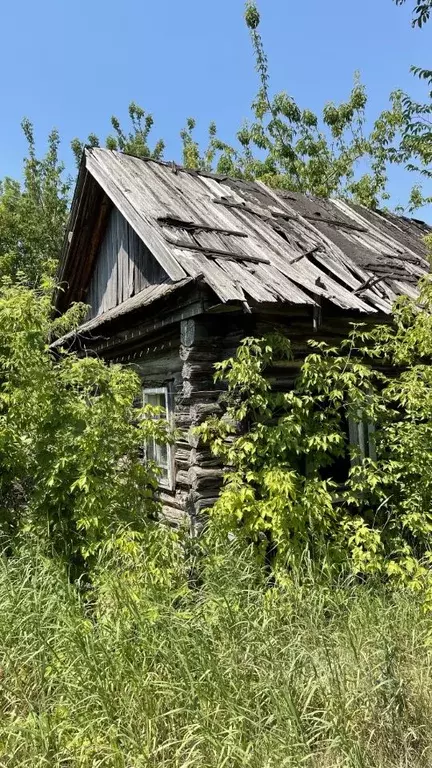 Дом в Ульяновская область, Чердаклинский район, с. Новый Белый Яр ... - Фото 0