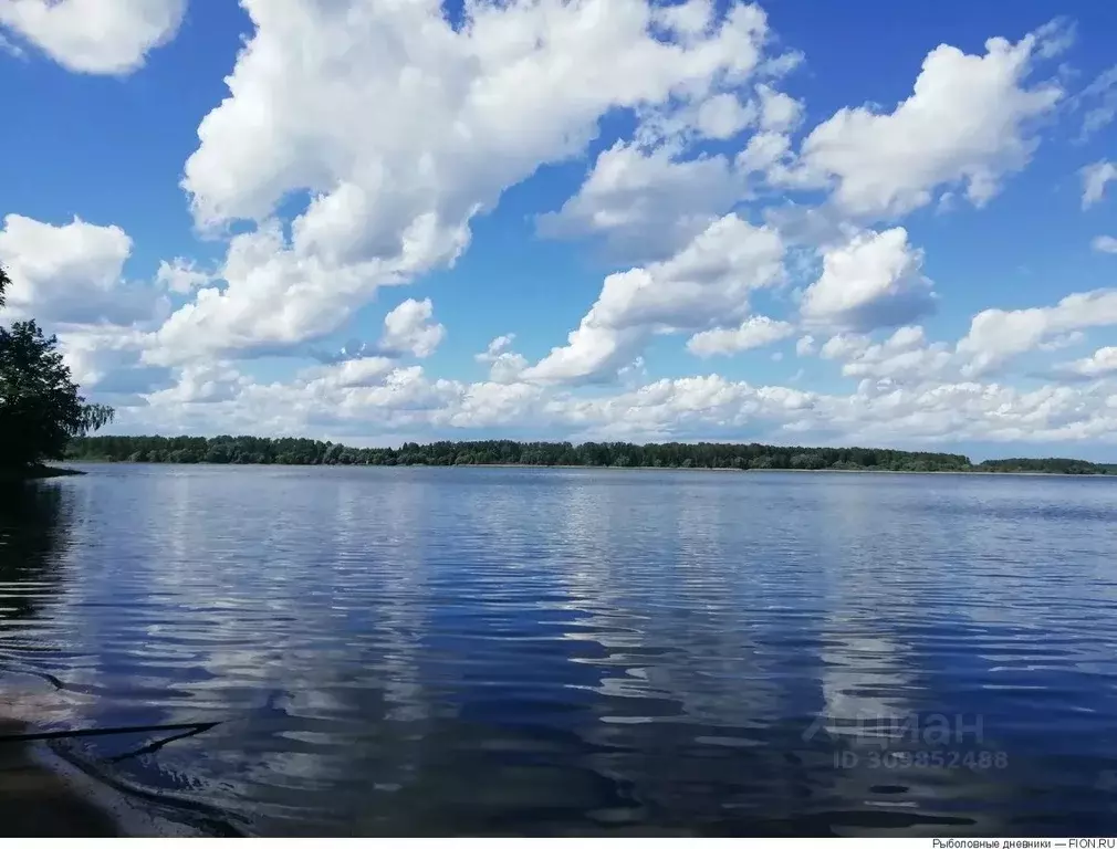 Участок в Московская область, Солнечногорск городской округ, д. ... - Фото 1