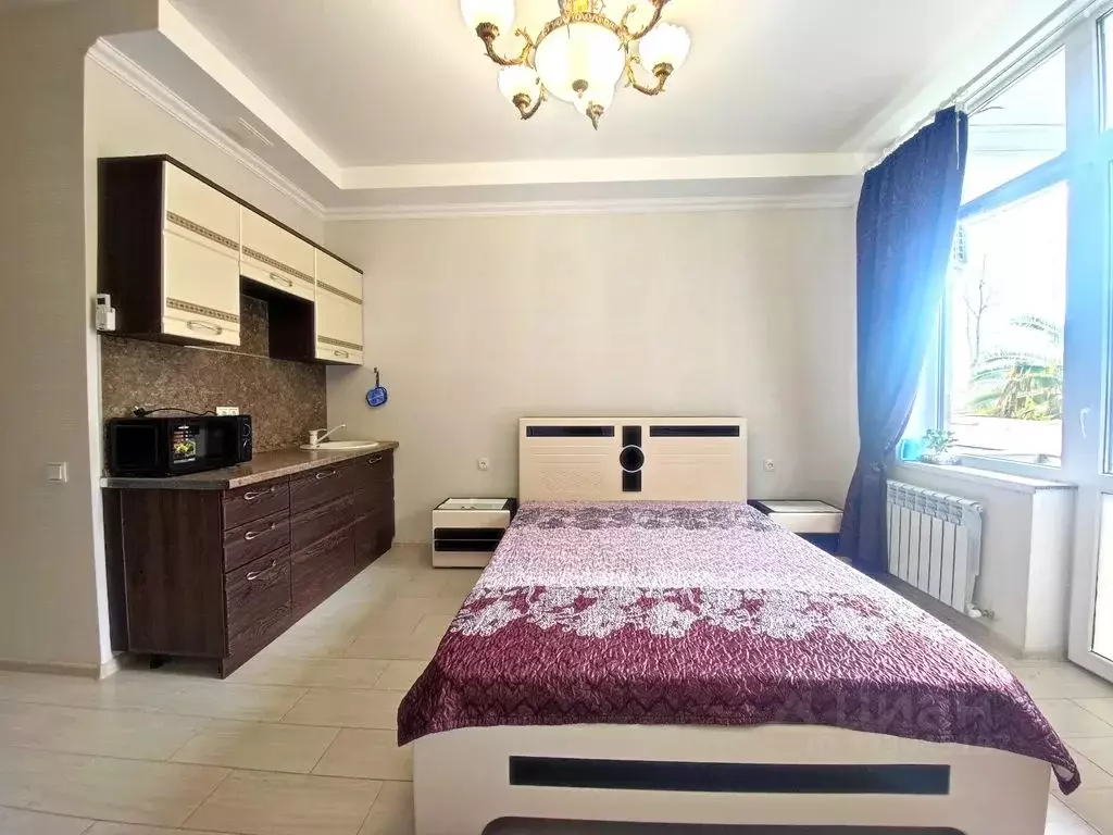 1-к кв. Краснодарский край, Сочи Курортный просп., 98/15 (27.0 м) - Фото 2