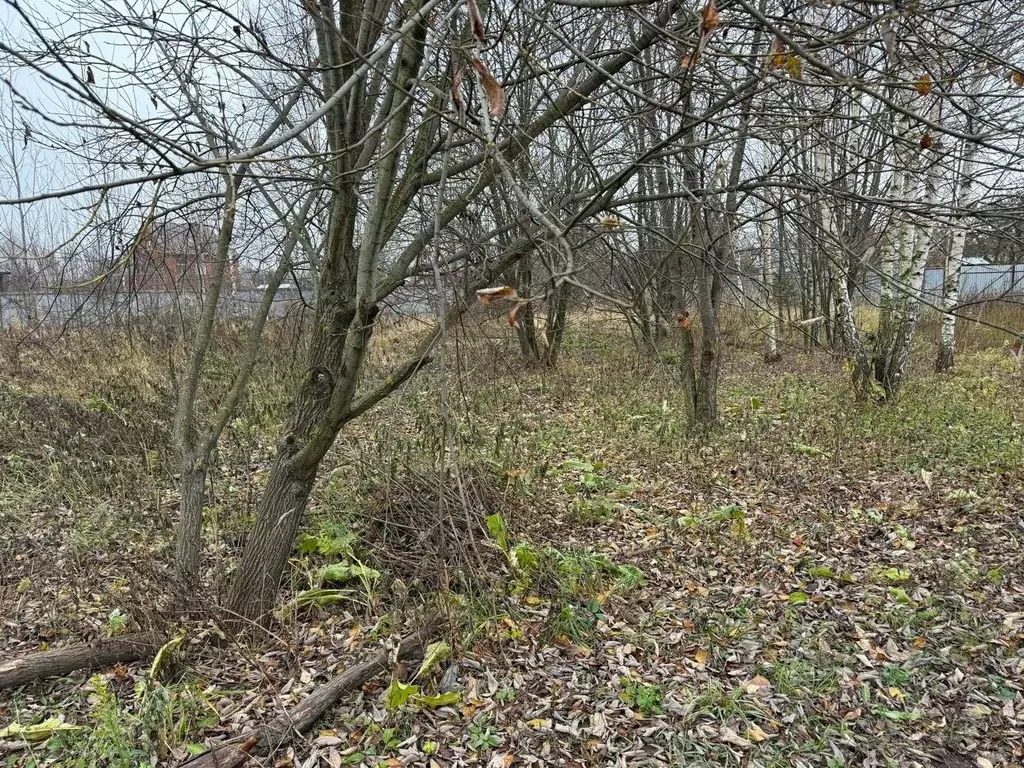 Участок в Московская область, Богородский городской округ, д. Новое ... - Фото 0