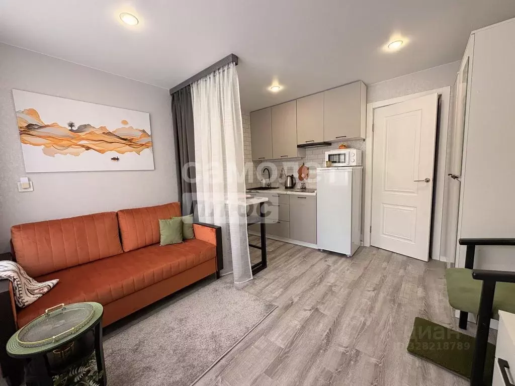 Студия Московская область, Воскресенск Центральный мкр, ул. ... - Фото 1