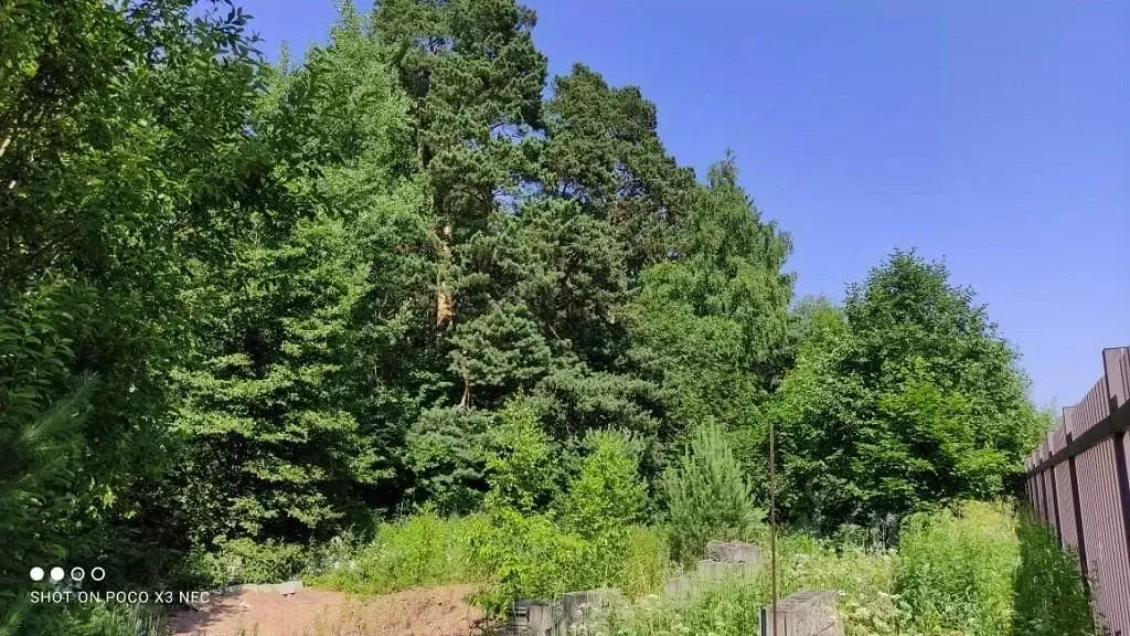 Участок в Московская область, Одинцовский городской округ, д. ... - Фото 1