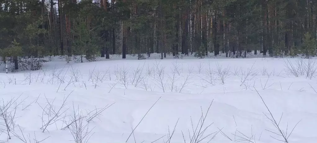 Участок в Московская область, Шатура муниципальный округ, д. ... - Фото 2