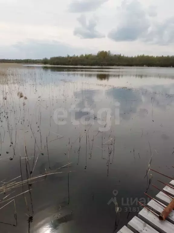 Участок в Вологодская область, Кирилловский муниципальный округ, д. ... - Фото 0