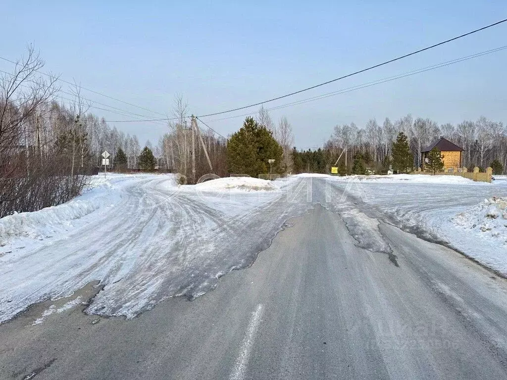 Участок в Тюменская область, Тюмень Строитель-3 СНТ, ул. Солнечная ... - Фото 1