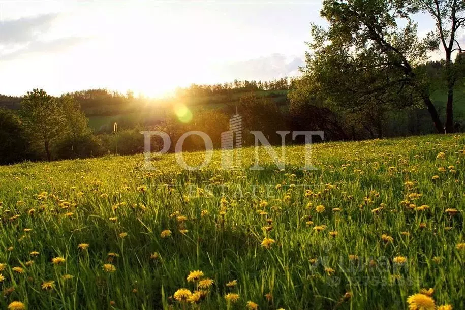 Участок в Московская область, Одинцовский городской округ, с. ... - Фото 2