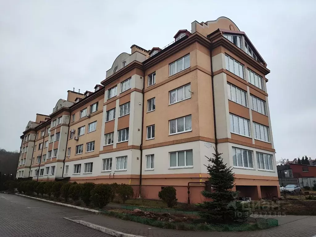 Помещение свободного назначения в Калининградская область, Калининград ... - Фото 1