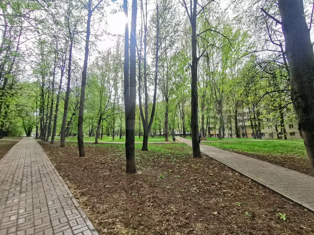 Квартира-студия, 19,2 м, 1/1 эт. - Фото 0