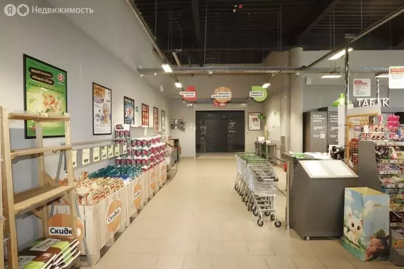 Помещение свободного назначения (446.1 м) - Фото 2