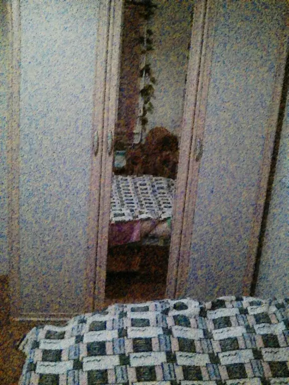 2-к кв. Вологодская область, Вологда пл. Бабушкина, 6 (47.0 м) - Фото 0