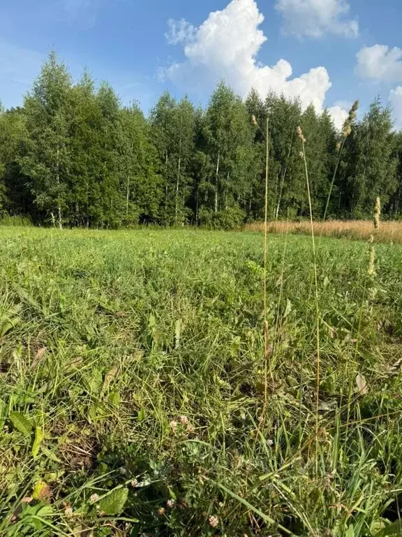 Участок в Кировская область, Слободской район, Шиховское с/пос, д. ... - Фото 2