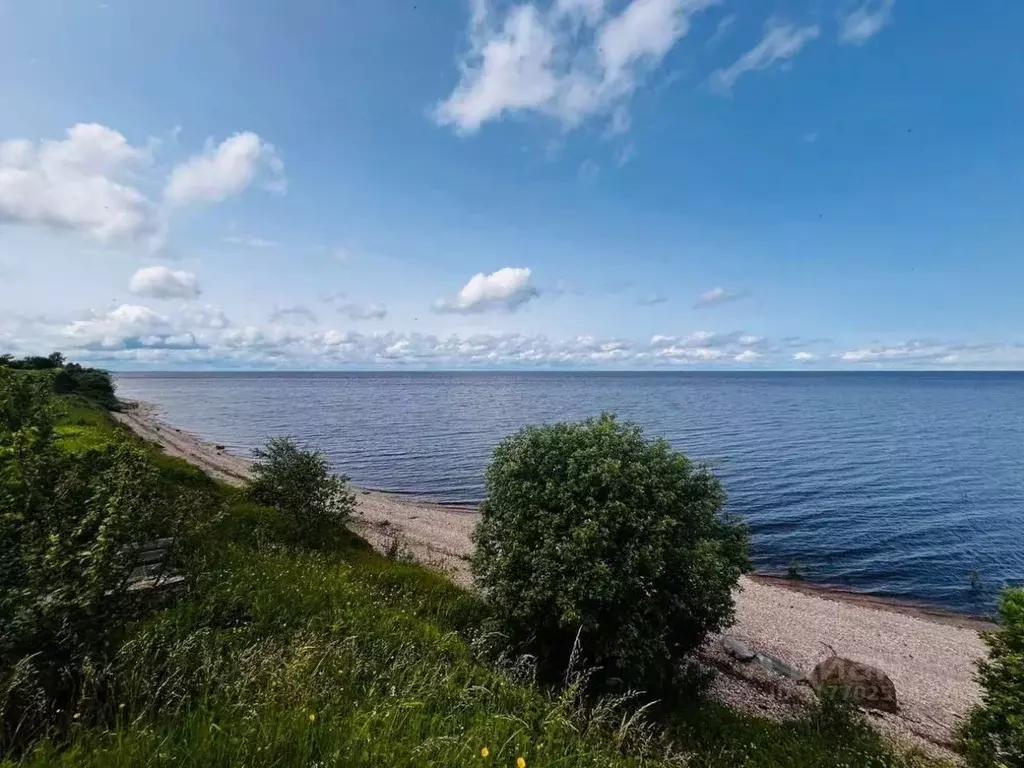Участок в Новгородская область, Старорусский район, Наговское с/пос, ... - Фото 1