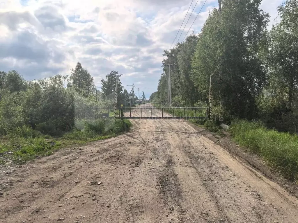Участок в Тюменская область, Тюмень Поле Чудес садовое товарищество, ... - Фото 0