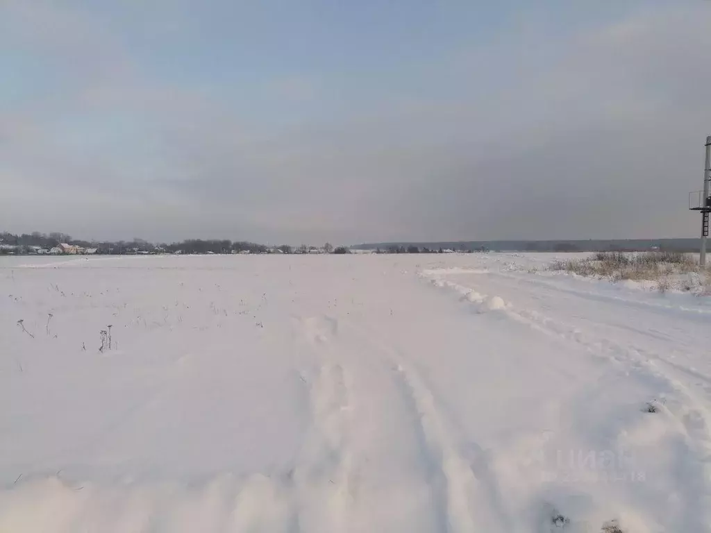 Участок, 6 сот., поселения (ижс) - Фото 2