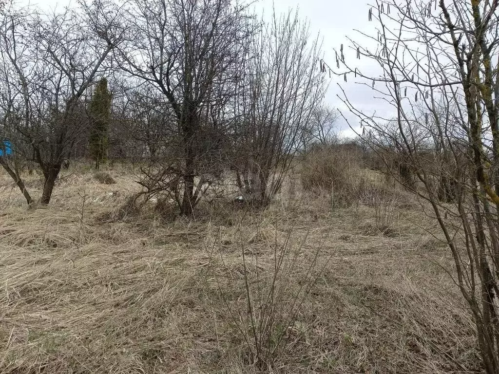 Участок в посёлок Верный Путь, садоводческое объединение Урожайное ... - Фото 1