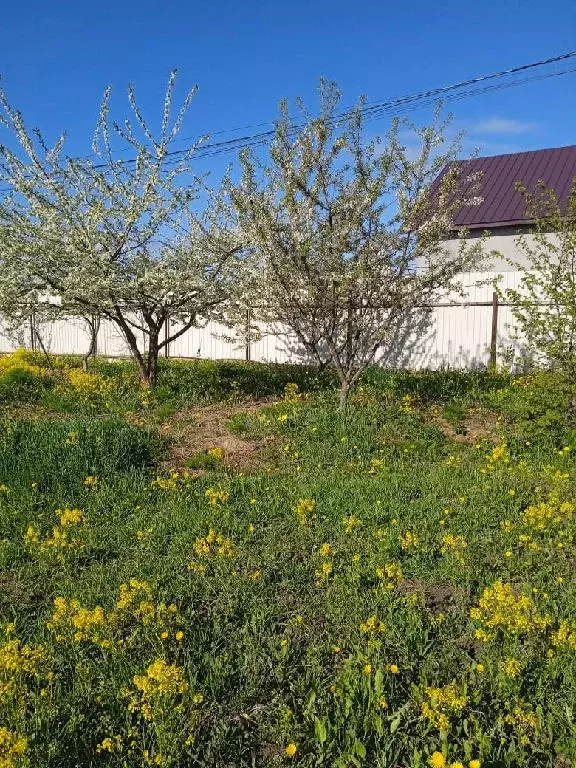 Продается участок в ДНП Дубрава - Фото 2