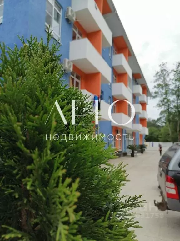 Студия Краснодарский край, Сочи городской округ, с. Орел-Изумруд ул. ... - Фото 2