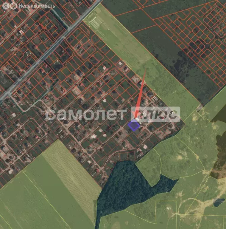Участок в посёлок Заозерье, Лесная улица, 16 (11 м) - Фото 2