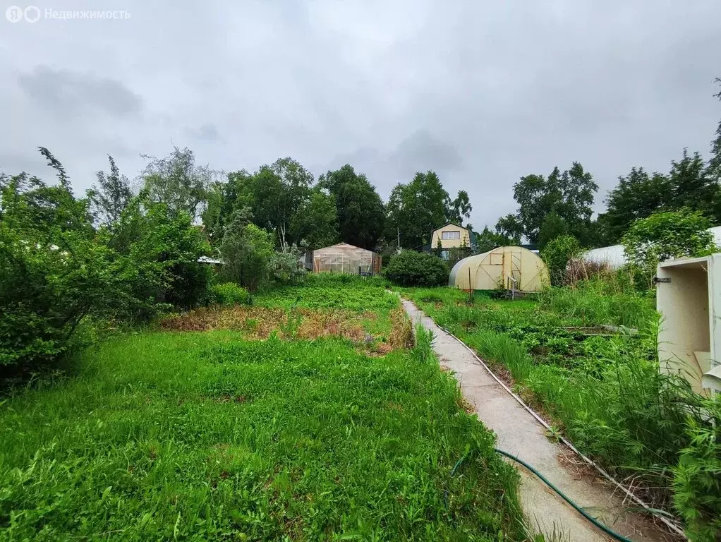 Участок в Елизовский район, садоводческое некоммерческое товарищество ... - Фото 0