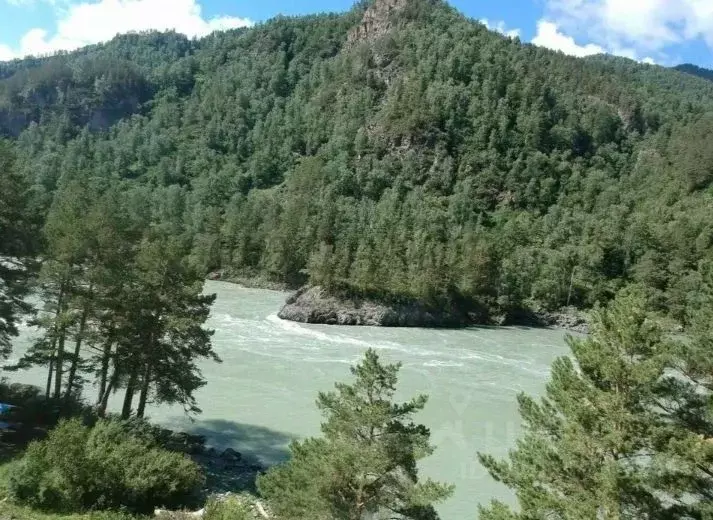 Участок в Алтай, Чемальский район, с. Чемал  (10.0 сот.) - Фото 1