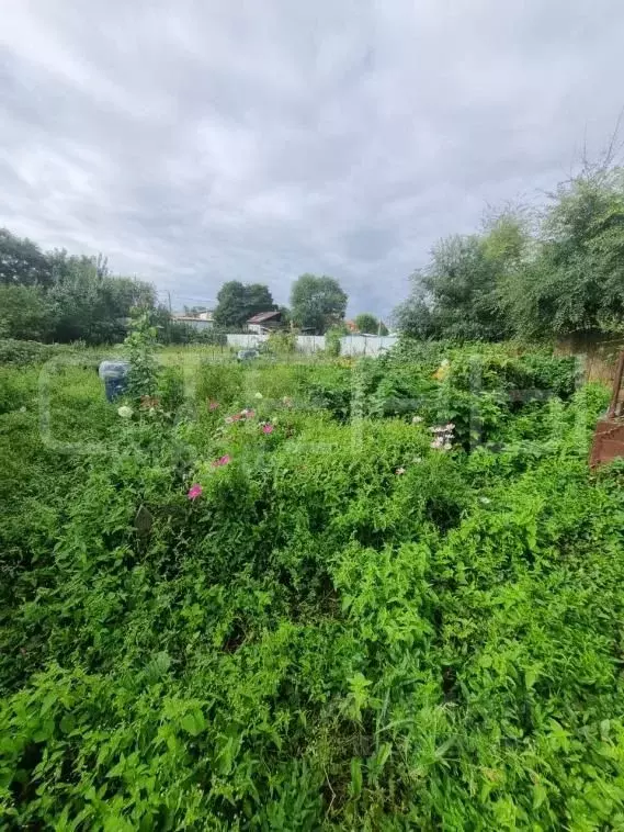 Участок в Амурская область, Благовещенск Кузнечная ул. (7.5 сот.) - Фото 2