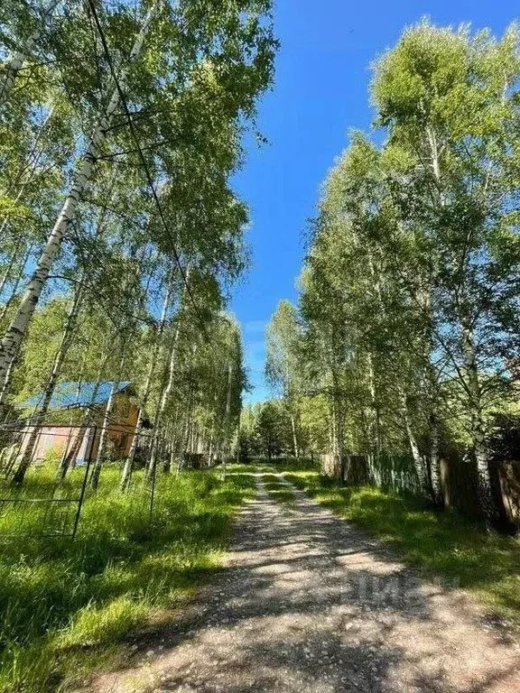 Участок в Московская область, Серпухов городской округ, д. Злобино, ... - Фото 1