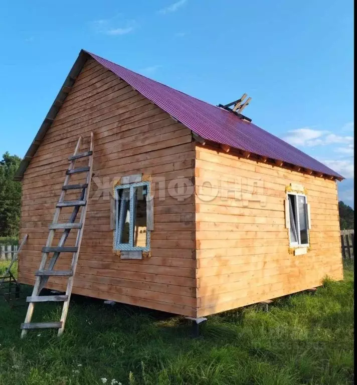 Дом в Новосибирская область, Колыванский район, с. Вьюны Боровая ул. ... - Фото 1