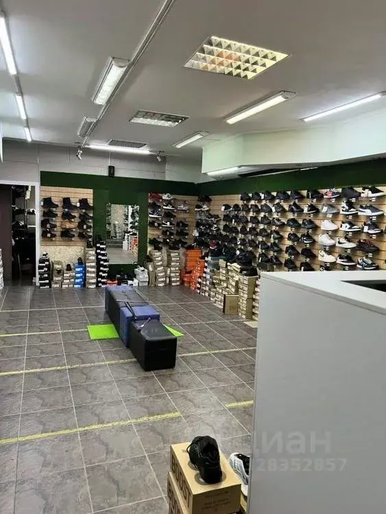 Помещение свободного назначения в Кемеровская область, Кемерово ... - Фото 2