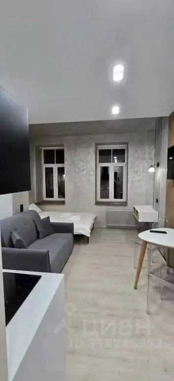 1-к кв. Санкт-Петербург ул. Черняховского, 56 (26.0 м) - Фото 0