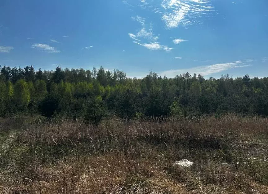 Участок в Московская область, Ступино  (10.0 сот.) - Фото 0