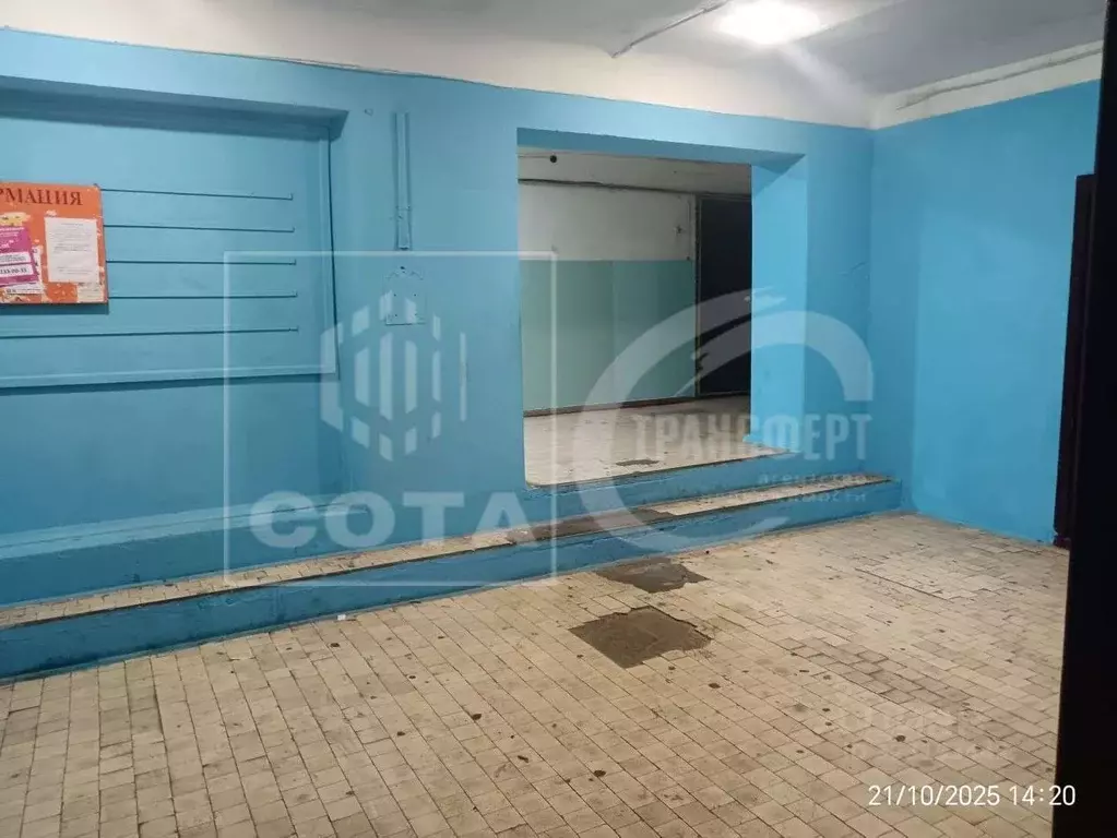 Комната Воронежская область, Воронеж Ярославская ул., 23 (17.0 м) - Фото 2