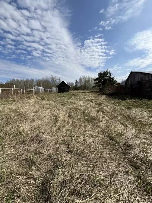 Участок в Нижегородская область, Богородский муниципальный округ, д. ... - Фото 1