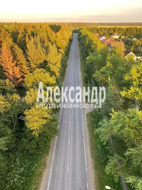 Участок 12,5 сот. (ИЖС) - Фото 1
