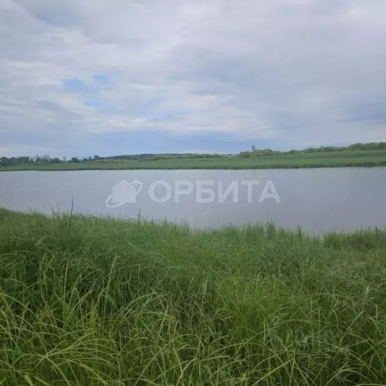 Участок в Тюменская область, Тюменский район, с. Щербак  (4.86 сот.) - Фото 1