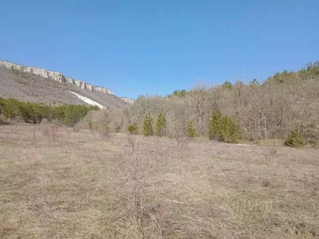 Участок в Крым, Бахчисарайский район, Красномакское с/пос, с. Ходжа ... - Фото 1