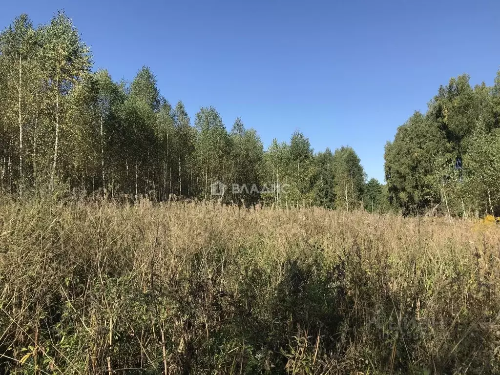 Участок в Владимирская область, Камешковский муниципальный округ, д. ... - Фото 2