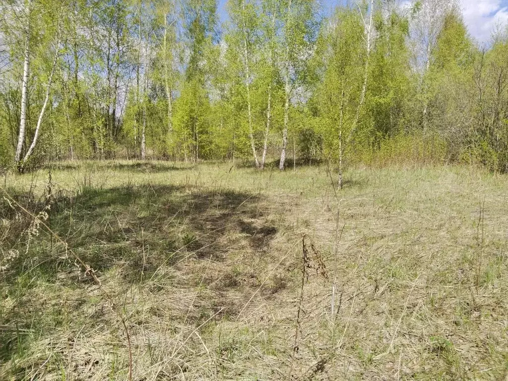 Участок в Московская область, Орехово-Зуевский городской округ, пос. ... - Фото 0