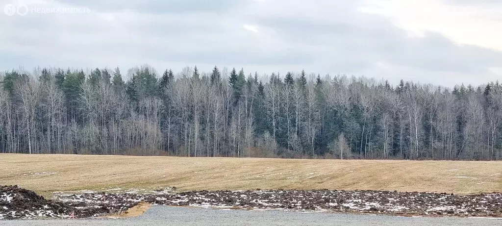 Участок в Санкт-Петербург, посёлок Левашово (12 м) - Фото 0