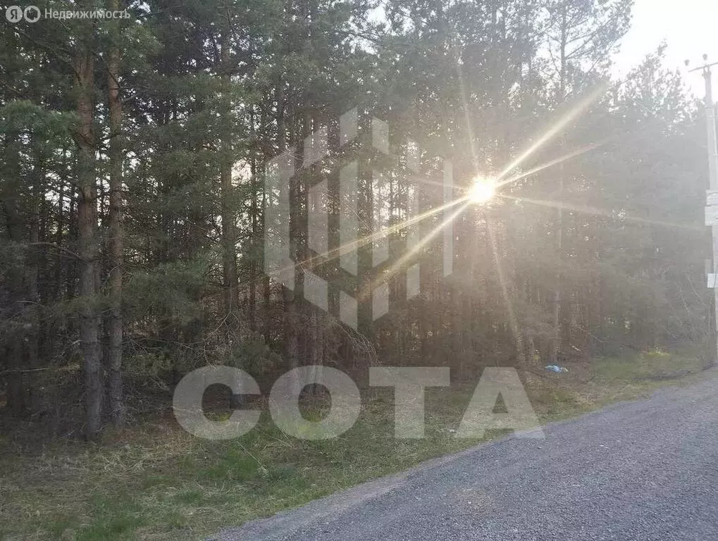 Участок в село Староживотинное, улица Жукова, 29 (8 м) - Фото 1