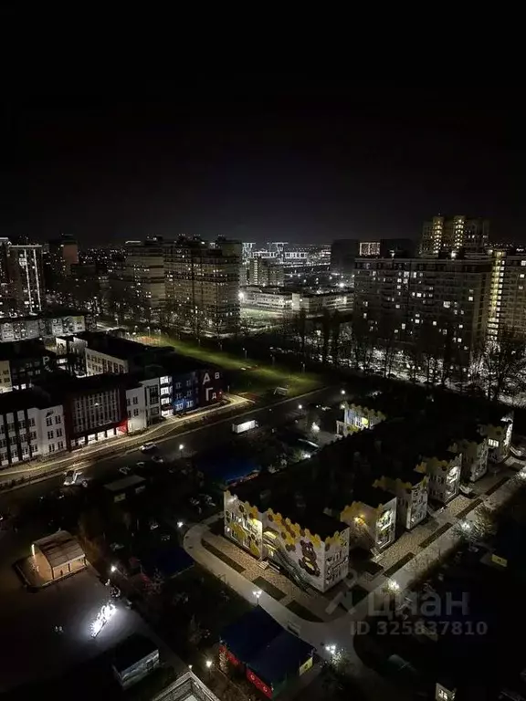 1-к кв. Краснодарский край, Краснодар ул. Конгрессная, 31 (45.0 м) - Фото 1