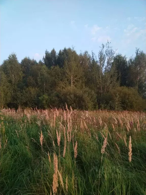 Участок в Московская область, Талдомский городской округ, д. Шатеево  ... - Фото 0