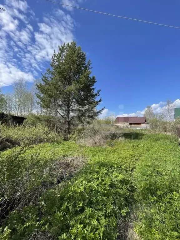 Участок в Архангельская область, Котлас Малодвинская ул., 1/1 (964.0 ... - Фото 1