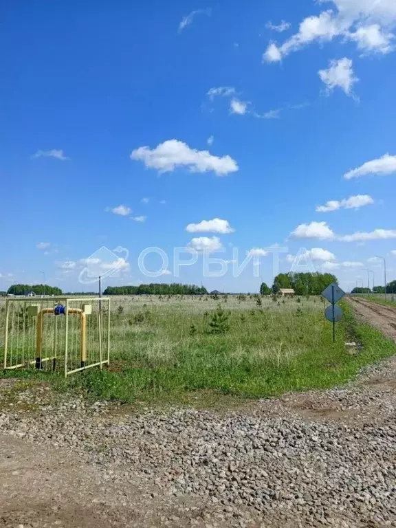 Участок в Тюменская область, Тюменский район, Новокаменский кп ул. ... - Фото 0