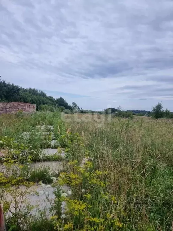 Участок в Калининградская область, Гурьевский муниципальный округ, ... - Фото 2