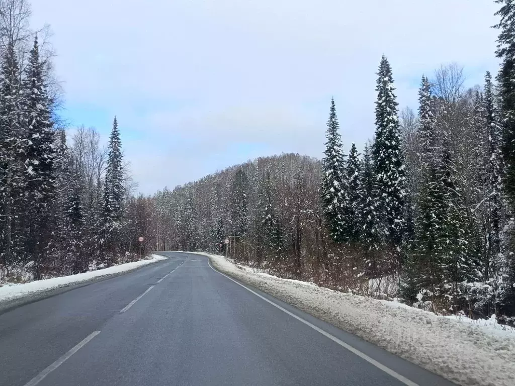 Участок в Кемеровская область, Таштагол Красногвардейская ул. (15.0 ... - Фото 1